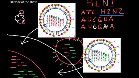 What is antigenic shift and drift - YouTube