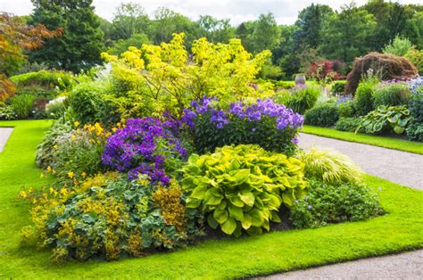 Small Garden Hedge Ideas - Garden Design