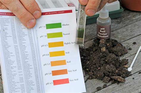 Soil pH level explained | Soil ph, Vegetable garden soil, Garden soil