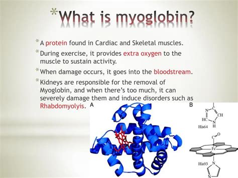 PPT - Rhabdomyolysis PowerPoint Presentation - ID:2334218