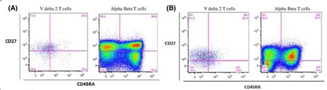 Gamma Delta T Cells Phenotype