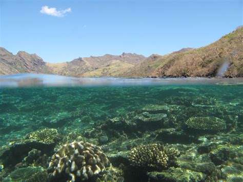 Saving Fiji's coral reefs linked to forest conservation upstream