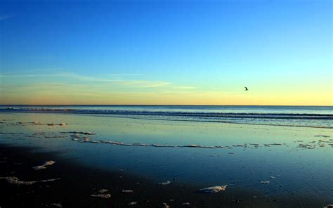 Jacksonville Beach III by Sunira on DeviantArt