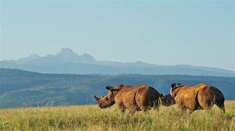 Mount Kenya National Park | Climb Mount Kenya