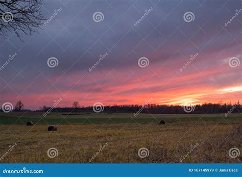 Pink Sunset Over Hayfields with Bales of Hay and Forest in Late Autumn ...