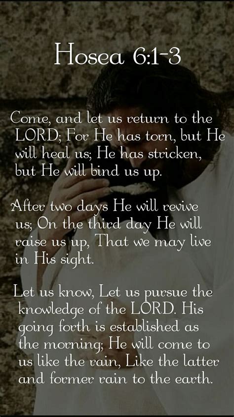 Hosea 6:1-3 | Inspirational bible verses, Biblical inspiration, Verses