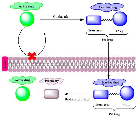 Cephalosporin Mechanism Of Action - cloudshareinfo