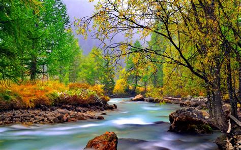 Mountain River With Rocks Rocks Yellowed Grass Evergreen And Deciduous ...