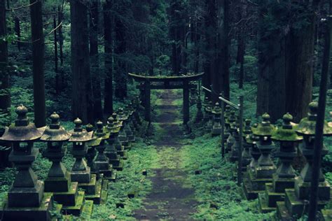 Forest shrine | Paisaje japon, Viaje a japón, Paisaje de fantasía