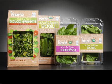 5 Environment-Friendly Packaging Ideas | JohnsByrne