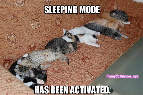 Sleeping Mode Has Been Activated! - Funny Cat MEME