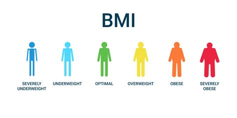 Bmi categories chart, body mass index and scale mass people. Severely ...