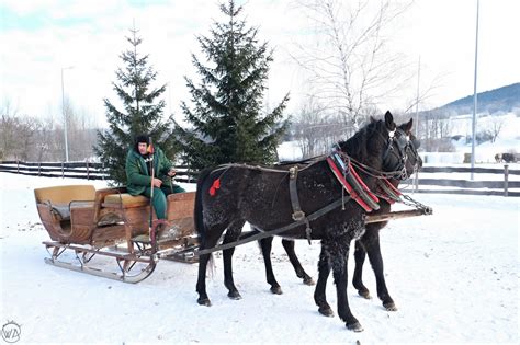 Horse drawn sleigh ride - experiencing winter in Poland | Worldering around