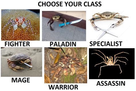 Crab-Themed RPG | Choose Your Class | Know Your Meme