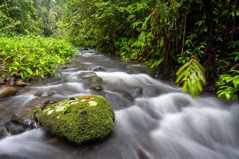 FAQ's for Maalan Cloud Forest - Rainforest 4