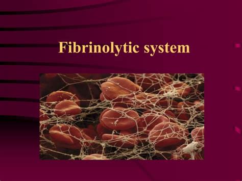 Fibrinolytic system | PPT