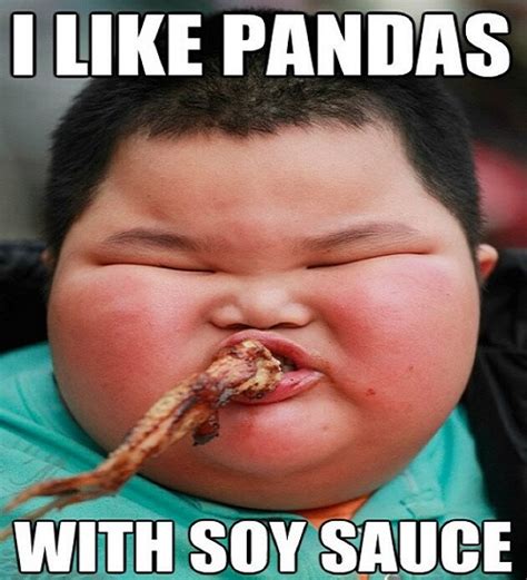 50 Best Fat Kid Memes with Images – Child Insider