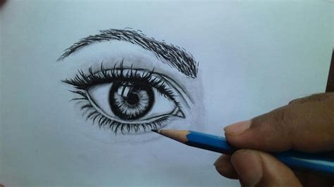 Shading Pencil Art: Capturing Depth and Dimension with Graphite