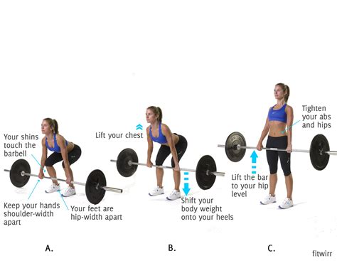 √ Deadlift Vs Squat Weight