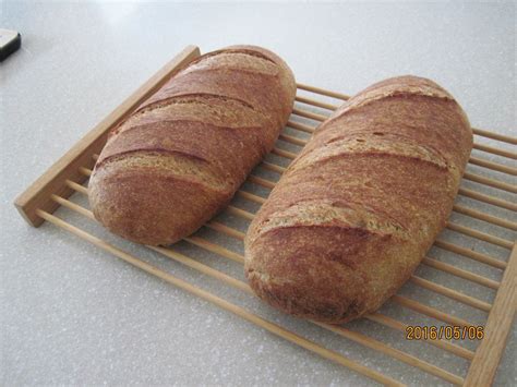 No knead whole wheat yeast dough - Baker’s Gallery - Breadtopia Forum