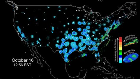 A primer for using weather surveillance radar to study bird migration ...