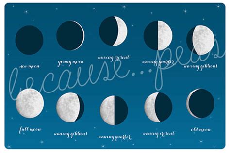 Moon Phases Poster Printable Poster of the Phases of the Moon Instant ...