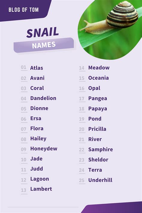 189+ Sensational Snail names (Good, Cute & Funny Pet Names) | Pet ...