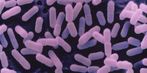 Listeria Food Poisoning | Merman Law Firm