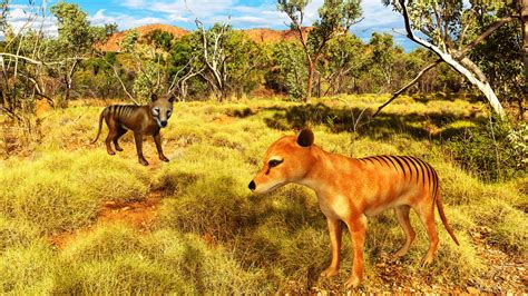 De-extinction Start-Up Colossal Biosciences to Bring Tasmanian Tiger ...