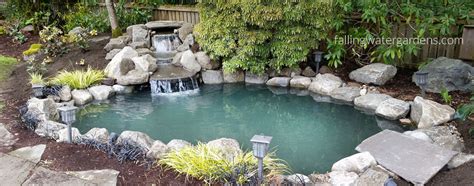 Pond Services - Falling Water Designs