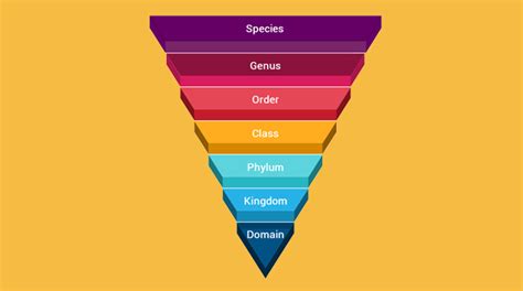 Taxonomic Classification: From Domain to Species - Earth How