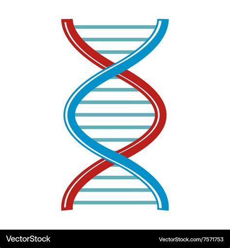 Dna cartoon icon isolated on white background Vector Image