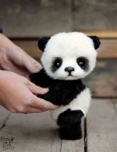 Esse é o panda mais fofo que existeee!!! Apaixonada!!😍😍😍 | Cute stuffed ...