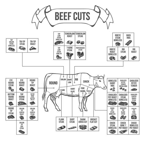 Pin on Beef Cuts