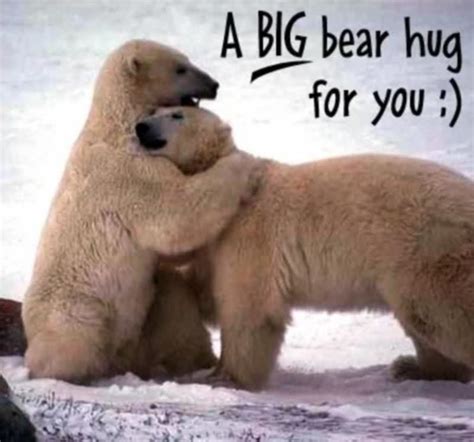 Happy Hug Day Wallpapers (34+) | Bear hug, Hug pictures, Bear