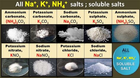 Chapter 8 : SALTS