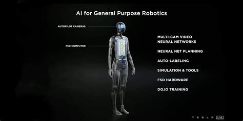 Tesla's FIrst Humanoid Robot: The Tesla Bot's Specifications