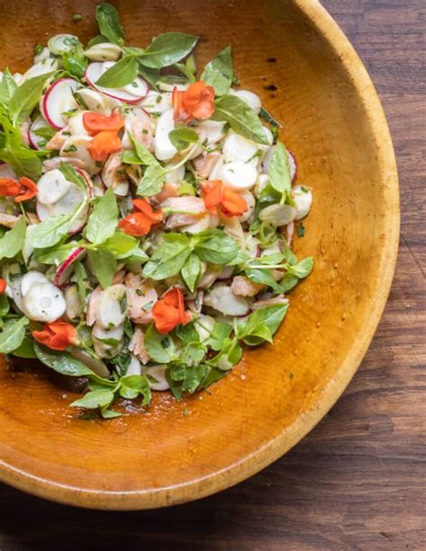 Cattail Rhizome Salad with Smoked Trout and Chickweed