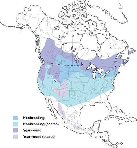 Evening Grosbeak Range Map, All About Birds, Cornell Lab of Ornithology ...