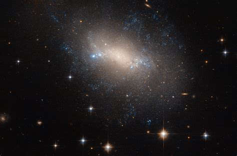 Hubble Image of the Week - Irregular Galaxy NGC 2337