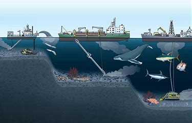 Deep-sea mining poses potential threat to tuna fishing in Eastern ...