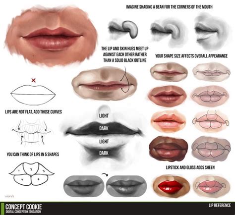 입술 그리기 튜토리얼 / 매핑 참고 / 캐릭터 자료 : 네이버 블로그 | Lips drawing, Anatomy for ...