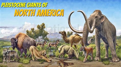 Extinct Pleistocene Megafauna of North America - YouTube