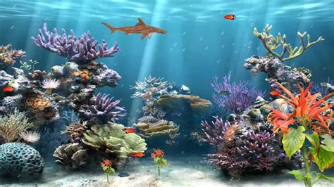 Download Of The Best: FISH TANK ANIMATED SCREENSAVER