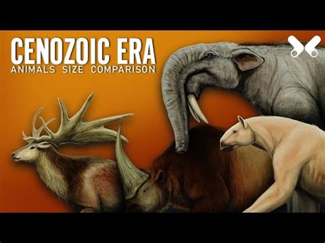 CENOZOIC ERA. Animals Size comparison. Paleoart