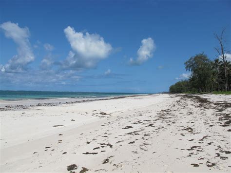 Diani Beach, Kenya - Travel Guide and Travel Info