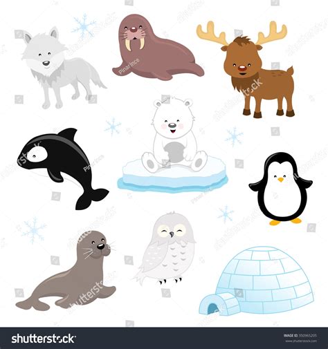 Arctic Animal Set Stock Vector Illustration 350965205 : Shutterstock