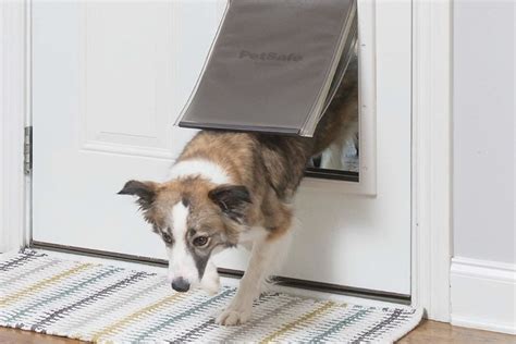 Install Smart Dog Door in the Screen Door