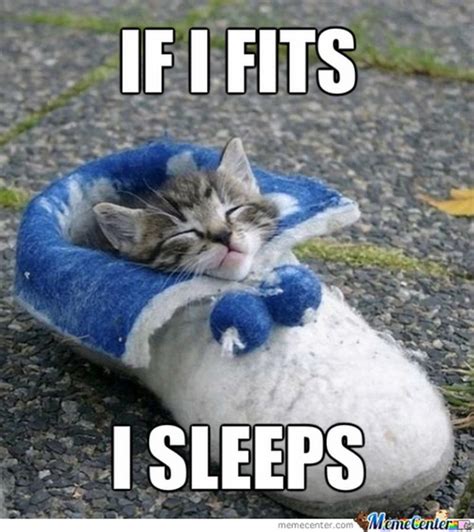 71 Funny Sleep Memes For Those Nights When Insomnia Is Kicking In