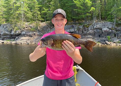 Largemouth vs Smallmouth Bass: A River Between Two Fishes - Bear's Den ...